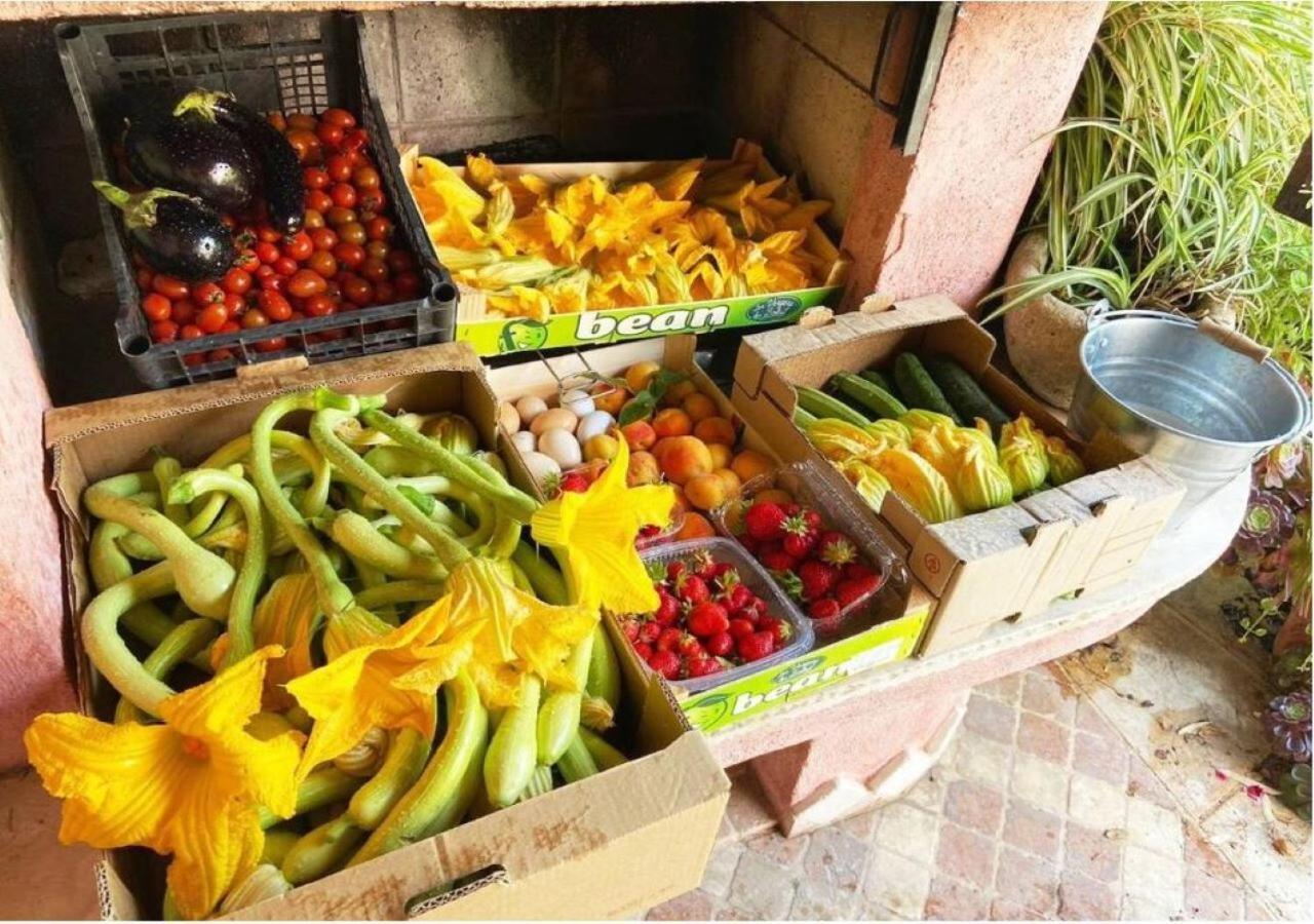 Ascheri Country House - Grimaldi, Ventimiglia Eksteriør bilde