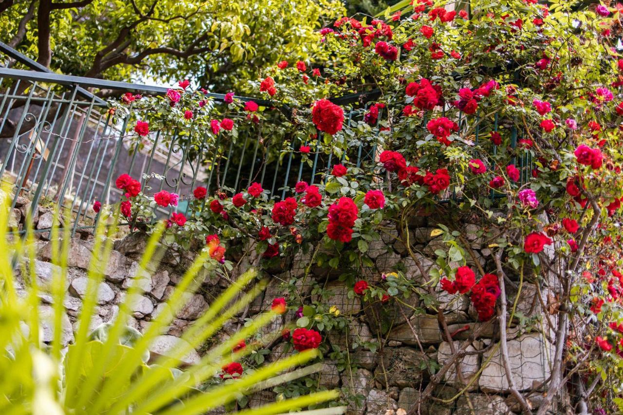 Ascheri Country House - Grimaldi, Ventimiglia Eksteriør bilde